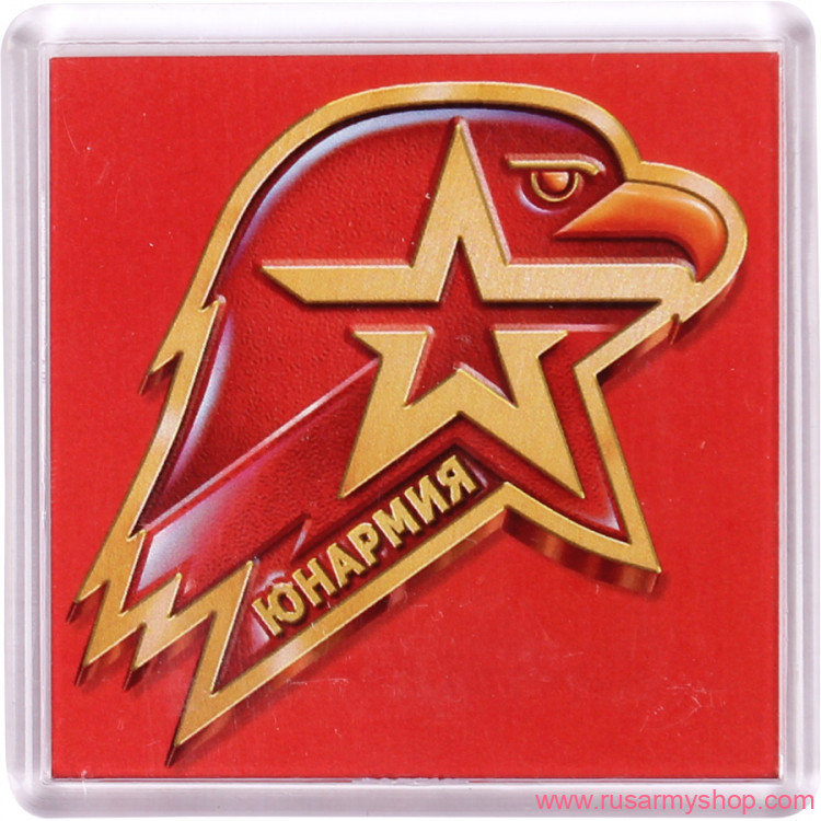 Магниты сувенирные Сплав Магнит Юнармия