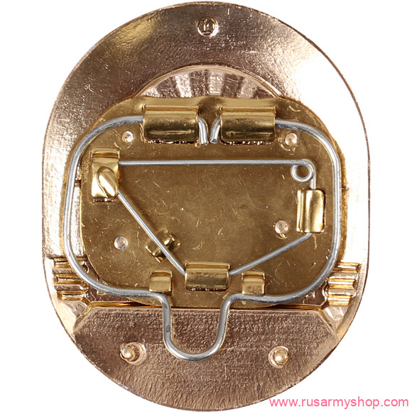 Нагрудные знаки большие Сплав ПОЛИЦИЯ ППС