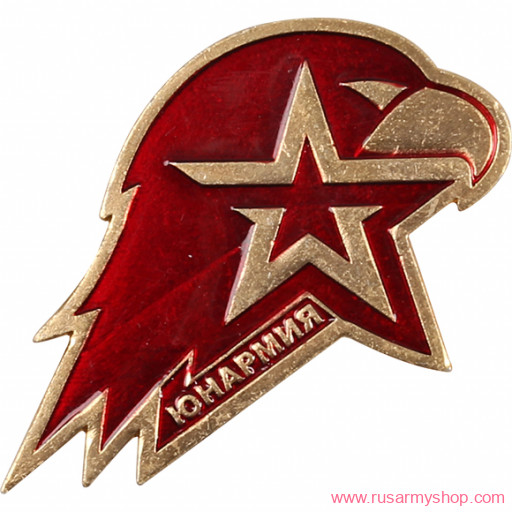 Нагрудные знаки часть 1 Сплав Юнармия