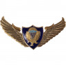 Нагрудные знаки часть 2 Сплав ВДВ крылья парашют орёл