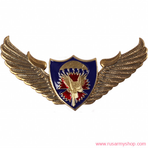 Нагрудные знаки часть 2 Сплав ВДВ крылья парашют сова гвоздика