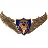 Нагрудные знаки часть 2 Сплав ВДВ крылья парашют сова гвоздика